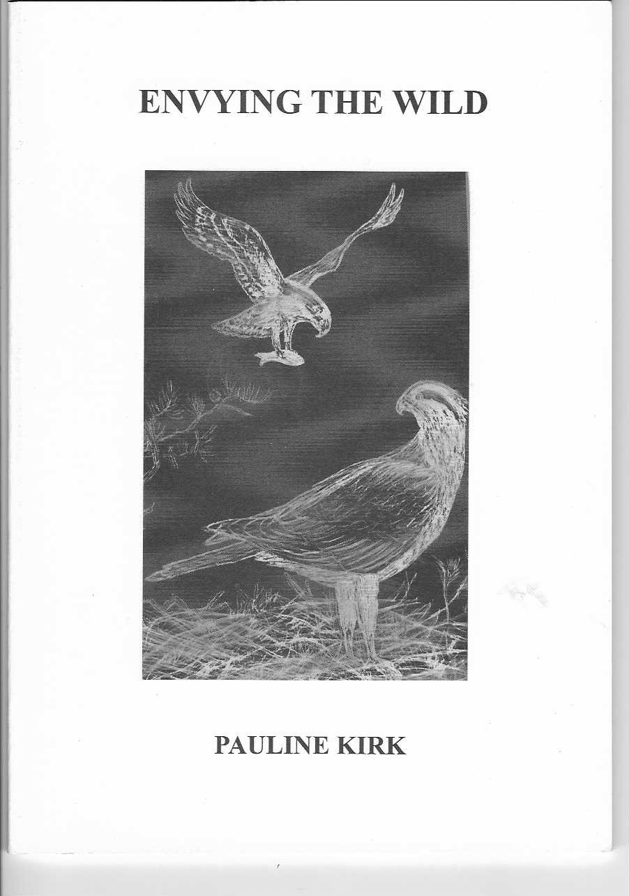 Envying The Wild Cover